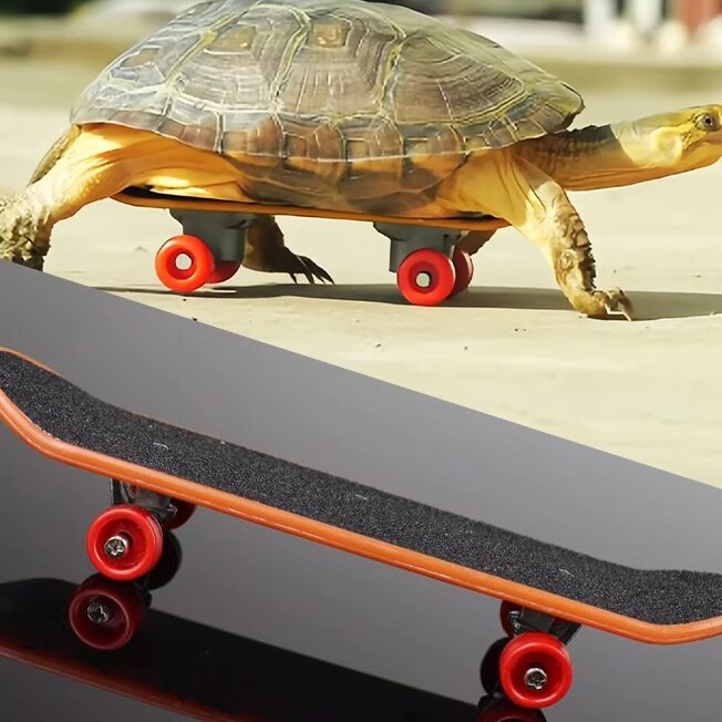 A turtle skateboard